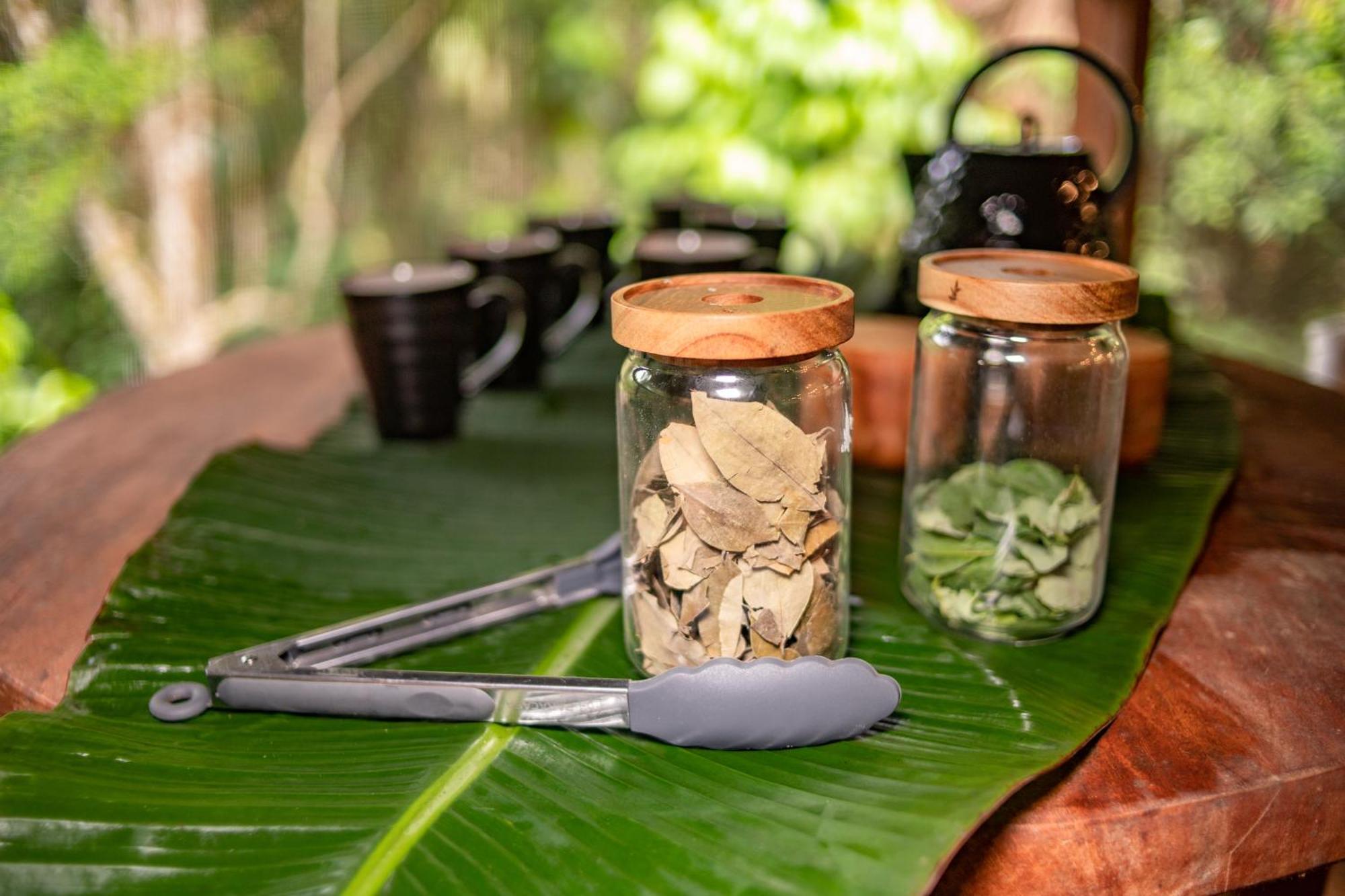 Awaken Amazonian Healing Resort All Inclusive Iquitos Exterior foto